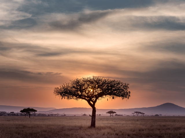 Oxford Research Encyclopedia of African History