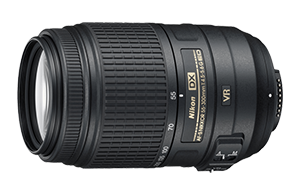 Nikon AF-S DX VR Zoom-NIKKOR 55-200mm f/4-5.6G IF-ED Lens