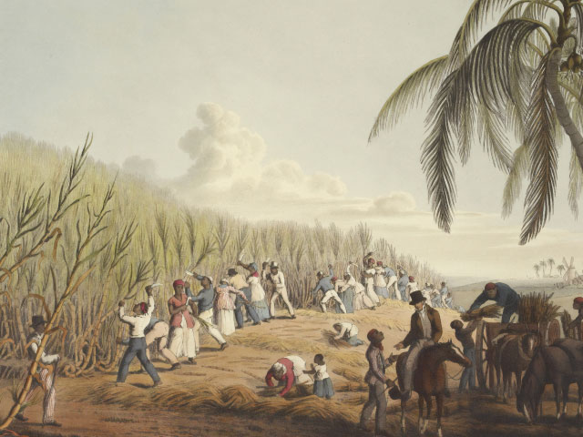 From the British Museum - Slaves working in sugar cane