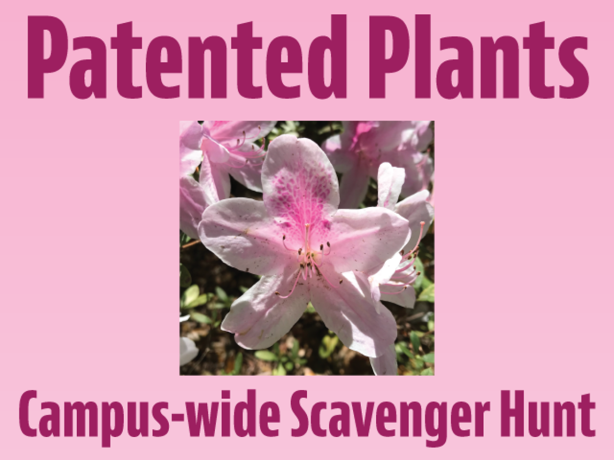 patented plants campus-wide scavenger hunt