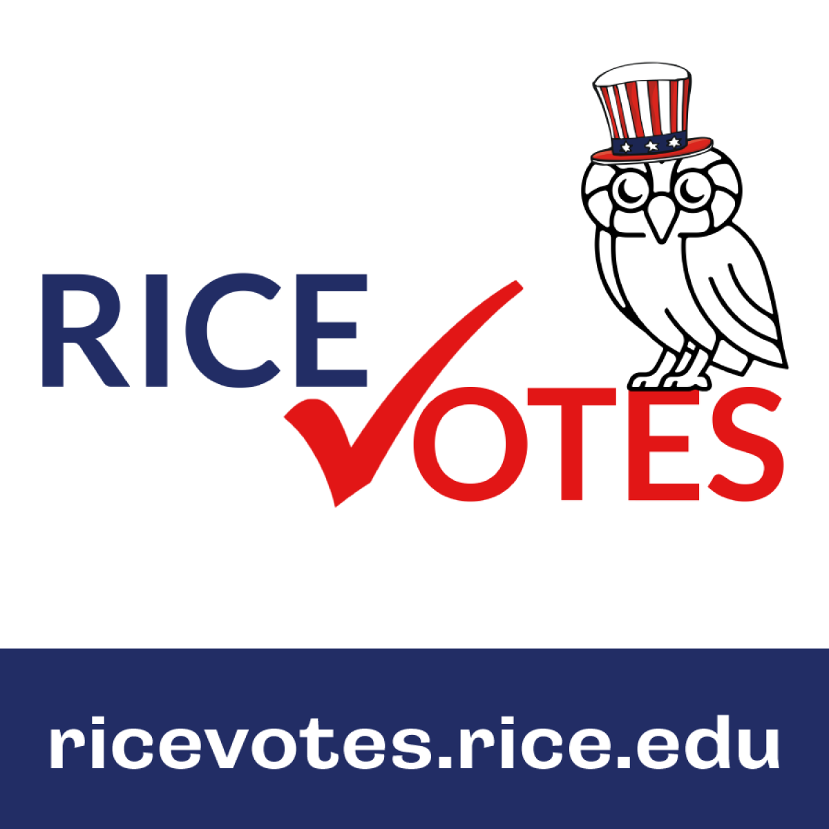ricevotes.rice.edu
