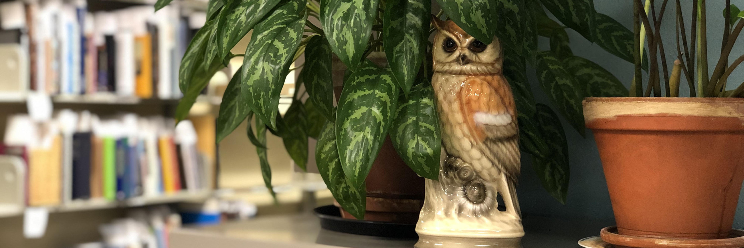 Ceramic owl in the Technical Services offices