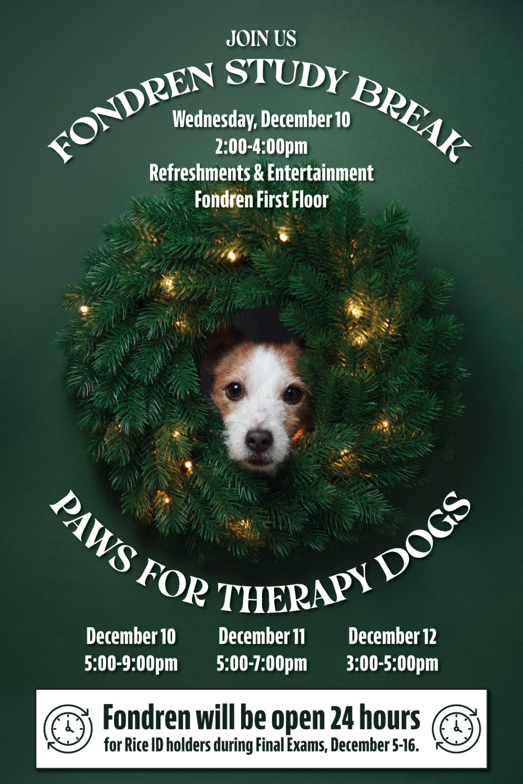 Jack Russell terrier peeking out of a pine wreath.