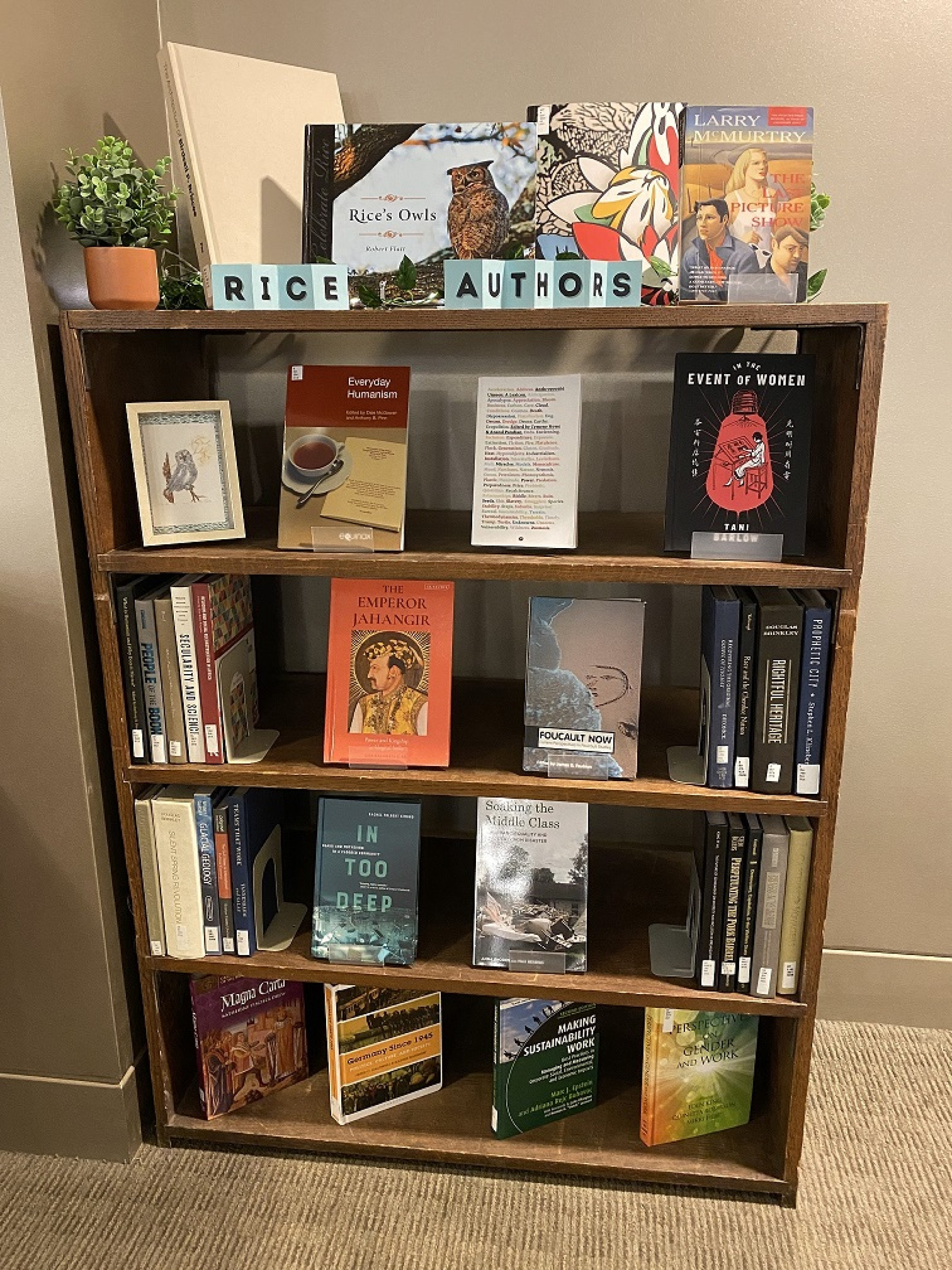 Rice Authors display shelf left