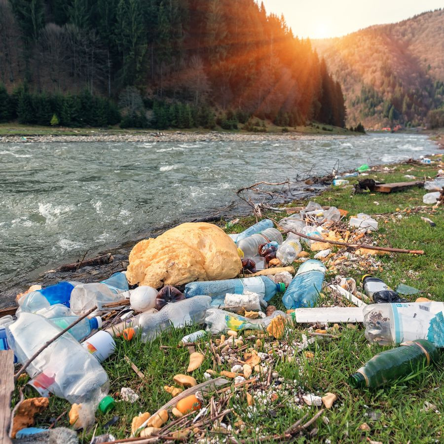garbage along a river